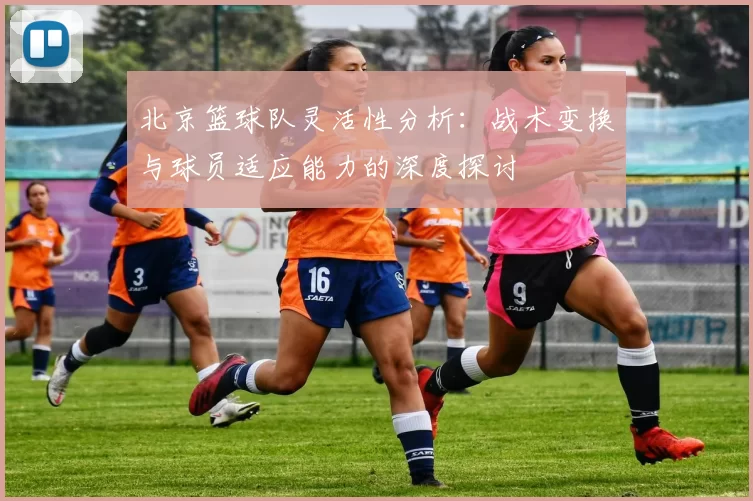 北京篮球队灵活性分析：战术变换与球员适应能力的深度探讨