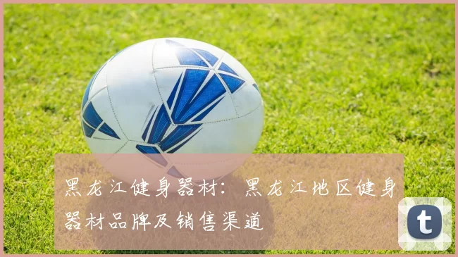 黑龙江健身器材：黑龙江地区健身器材品牌及销售渠道