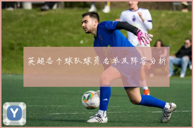 英超各个球队球员名单及阵容分析