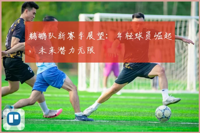 鹈鹕队新赛季展望：年轻球员崛起，未来潜力无限
