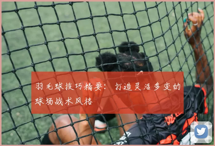 羽毛球技巧精要：打造灵活多变的球场战术风格