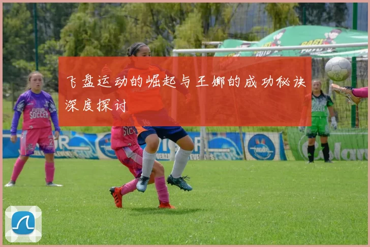 飞盘运动的崛起与王娜的成功秘诀深度探讨