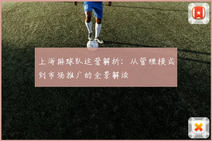 上海排球队运营解析：从管理模式到市场推广的全景解读