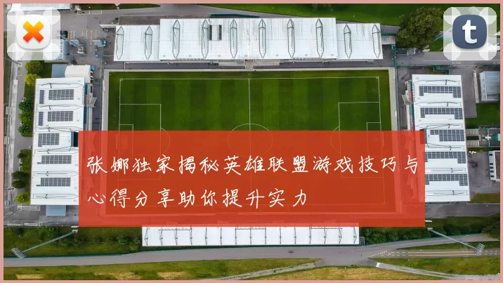 张娜独家揭秘英雄联盟游戏技巧与心得分享助你提升实力