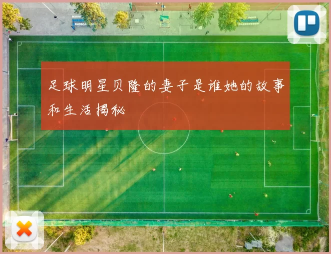 足球明星贝隆的妻子是谁她的故事和生活揭秘