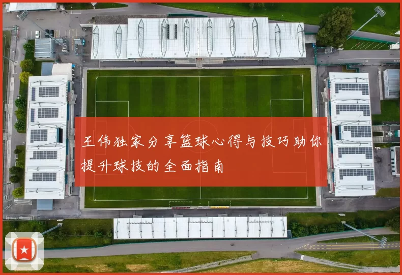 王伟独家分享篮球心得与技巧助你提升球技的全面指南