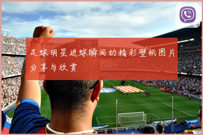 足球明星进球瞬间的精彩壁纸图片分享与欣赏